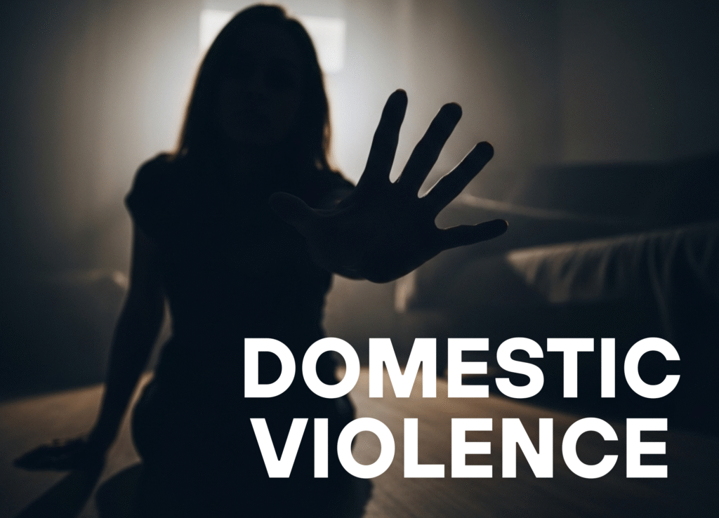 Domestic Violence Legal Services